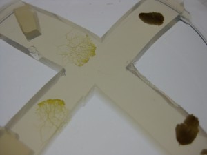 logic gate inputs A and B